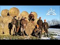 E159 Kamarenje - Lov Lisica isterivanjem sa NLT/ Fox hunting in hay stack with NLT