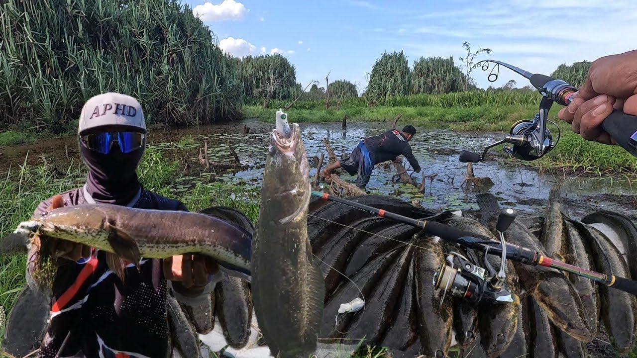 HASIL JERIH PAYAH DAN STRATEGI SPOT YG MATANG || PANEN STRIKE