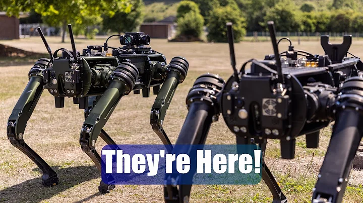 British Army Tests Ghost Robotics Dog-Like Quadruped Robots - DayDayNews
