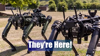 กองทัพอังกฤษทดสอบหุ่นยนต์ผีเหมือนสุนัขสี่เท้า