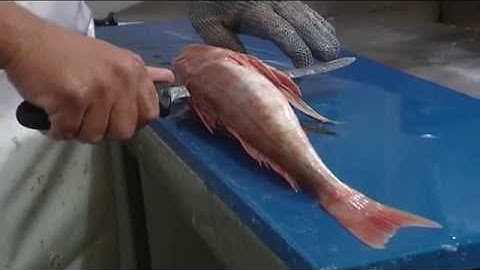 How to Fillet: Gurnard - Techniques and Tips by Knifetechnz