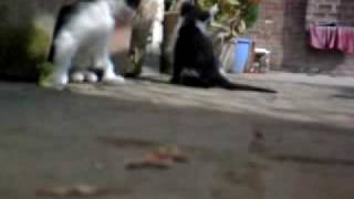 DSC00112