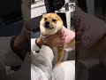 ガス屋さん❤️