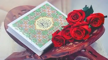 أجمل عشر دقائق مع القرآن الكريم تريح القلب