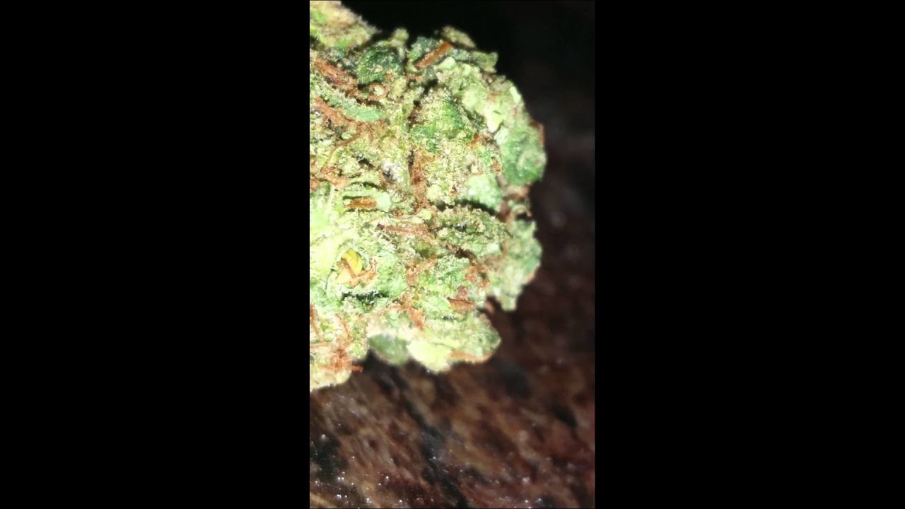 Paris OG