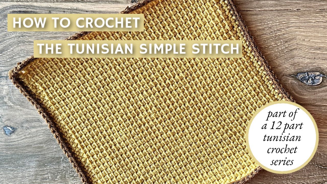 How to Crochet the Tunisian Simple Stitch - YouTube