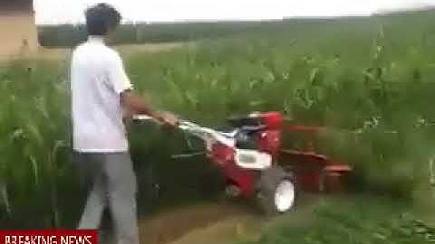 Máy cắt cỏ voi ,cỏ ngô Ngả hàng Kamast LH 0988866196