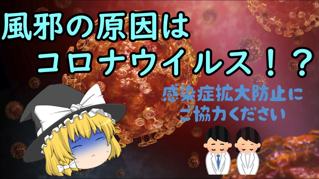 【ゆっくり解説】 実は風邪の原因⁉ コロナウイルス
