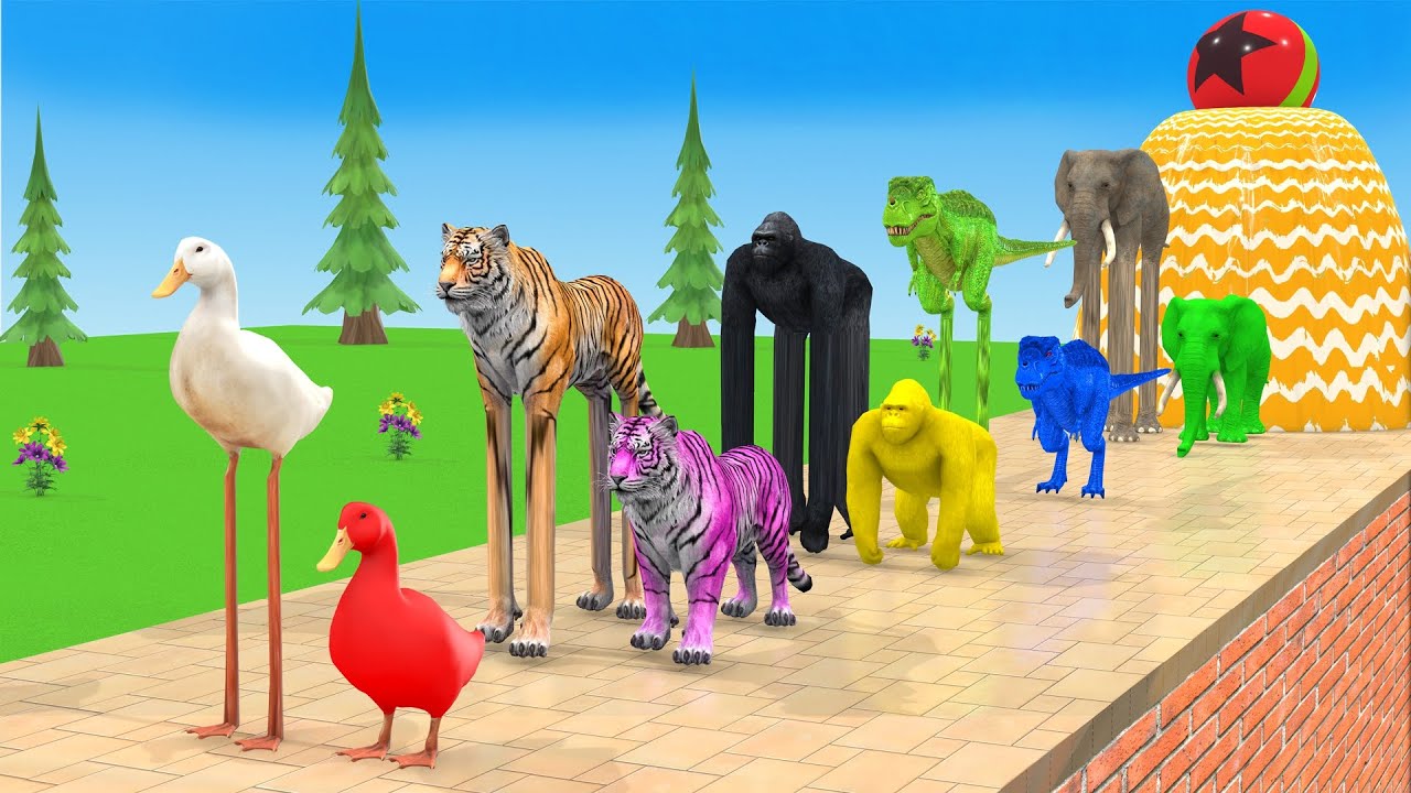 Long Slide Game with Cow Elephant Gorilla Hippopotamus Tiger 3d Animal Game Funny 3d Animals