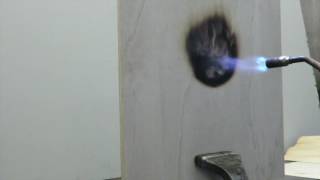 Fireshield: fire test