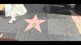 Jill Ireland Actress And Singer Star On Hollywood Walk Of Fame