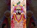 kehi jane bandhu hei asi jae 🥺🙏🙌#jagannath #viralshort #lovemusic #trending #reels
