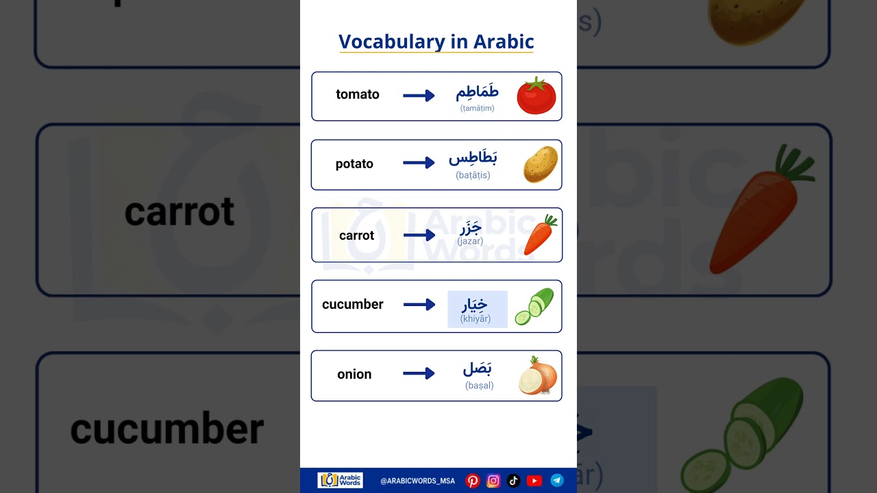 Learn Arabic | Easy Arabic #Shorts #Arabic #english  #viral #learning #study #quran #islam #islamic