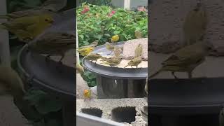 Don’t Mess With Me Resimi