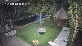 Roving Ball of Mystical Mist (Paranormal ‘Reel’ Activity Caught on Camera) screenshot 5