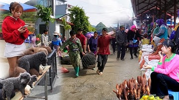 FULL ẨM THỰC NÚI RỪNG TÂY BẮC - CỦA QUÝ HIẾM - VẬT LẠ / CHỢ VÙNG CAO BẮC HÀ LÀO CAI 