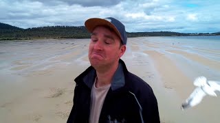 Decomposing Body Found on Beach | Tassie You Were Great by Samuel Young 1,352 views 3 years ago 12 minutes, 44 seconds