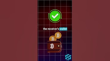 How Bitcoin Transactions Work