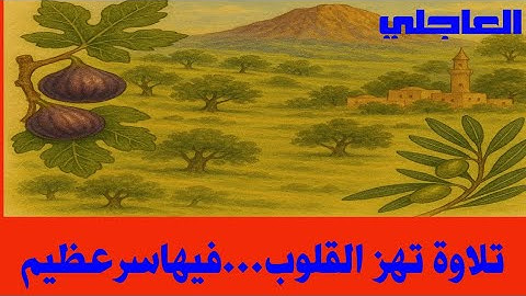 استمع بقلبك... كلمات قليلة لكنها تُغيرك للأبد | تلاوة خاشعة تهز الوجدان .