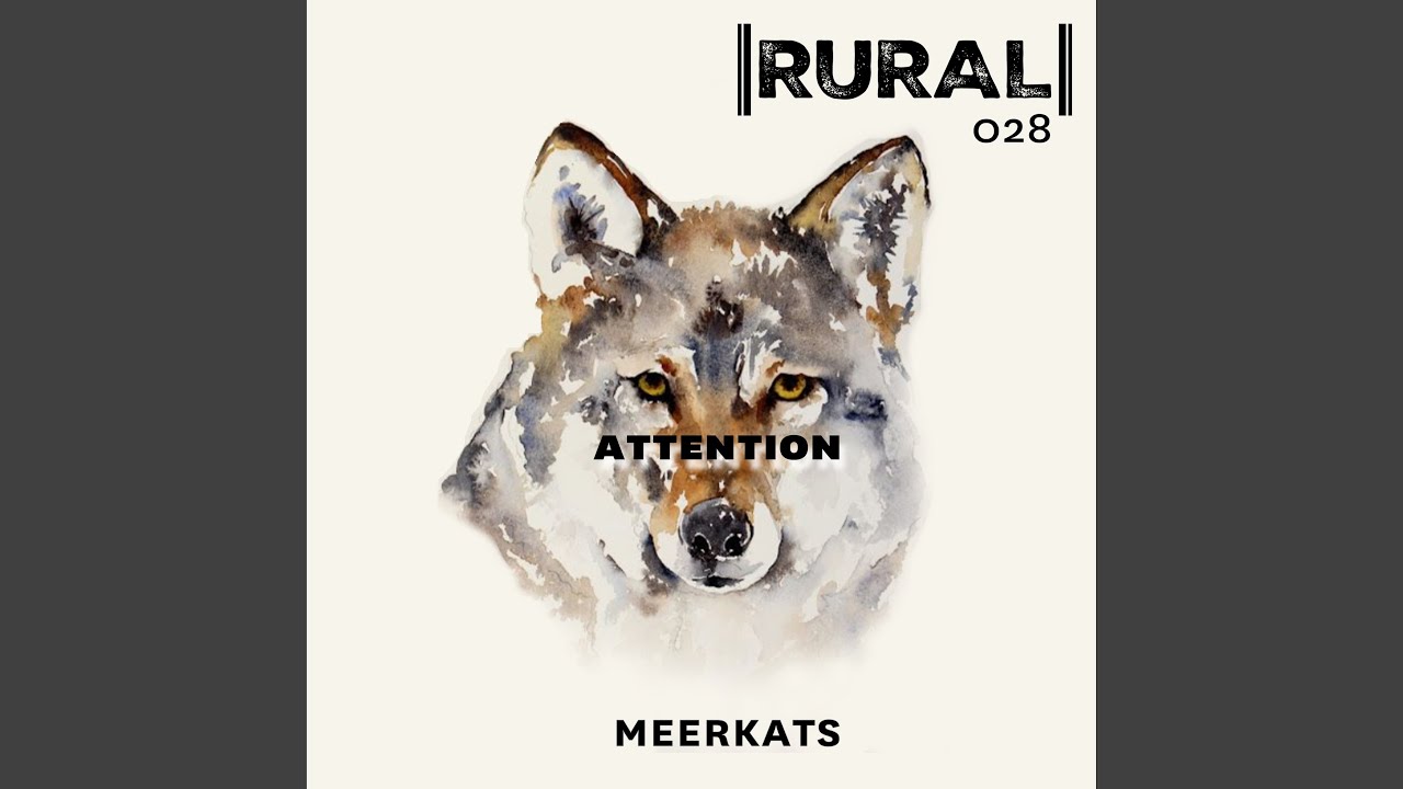 Watch Attention on YouTube Watch Attention on YouTube