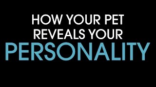 How your pet reveals your personality