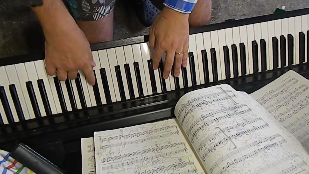 Franz von Schober's impromptus