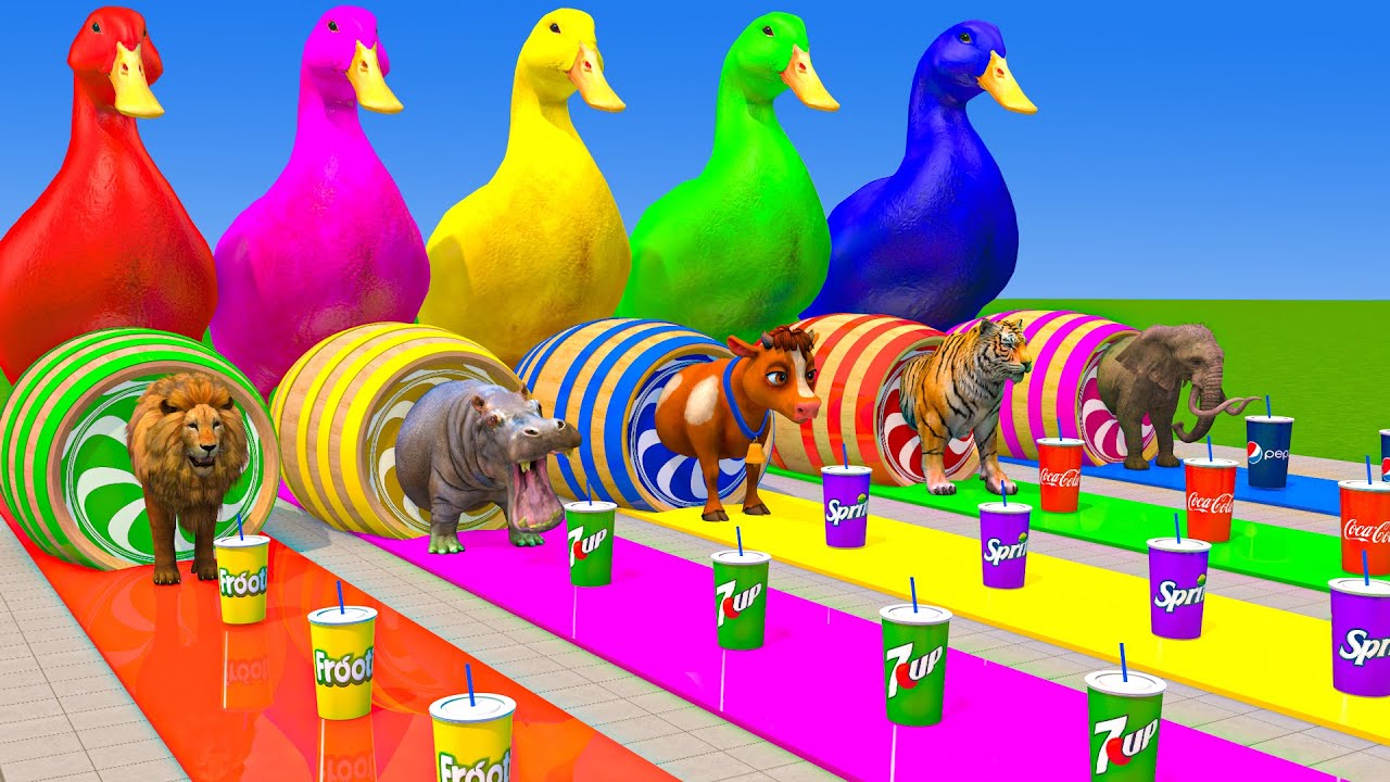 Long Slide Game With Cow Elephant Gorilla Hippopotamus Tiger - 3d Animal Game - Funny 3d Animals