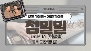 첨밀밀 [12현+25현 이중주] (C) - Tian Mi Mi  (甜蜜蜜) OST