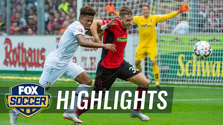 SC Freiburg vs. Bayer Leverkusen | 2018-19 Bundesliga Highlights