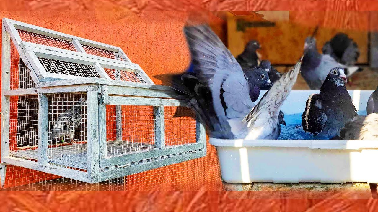 AM MONTAT SPUTNIC LA PORUMBEI + AU FACUT BAIE!