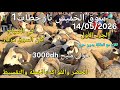 أثمنة الغنم والبقر واللحوم والخضر سوق الخميس عين تاوجطات اليوم 14 05 2026 
