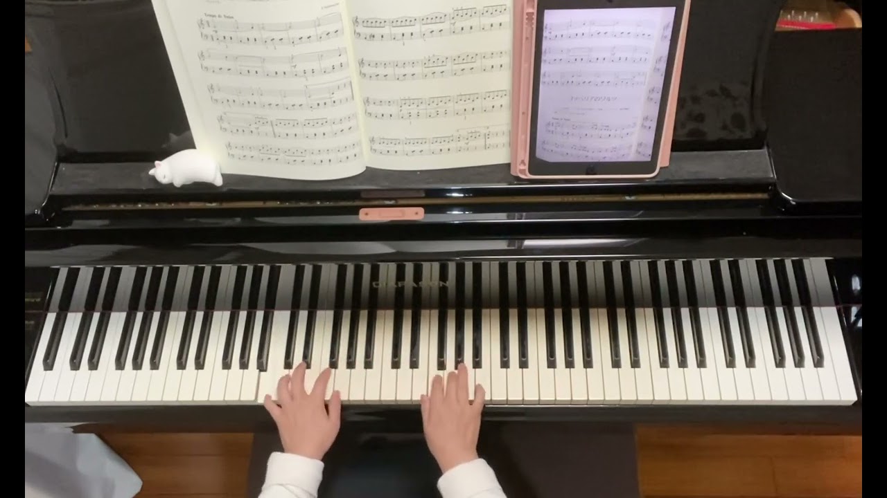 スケーターズワルツ,ワルトトイフェル,おとなのためのピアノ曲集 スケーターズワルツ,ワルトトイフェル,おとなのためのピアノ曲集