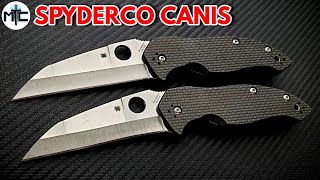 Spyderco Canis Folding Knife - Overview and Review