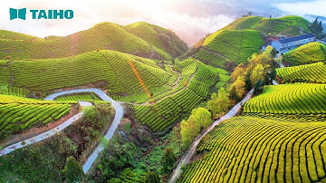 TAIHO X-ray Sorting Machine, All impurities such as metal/stone/glass chips are removed