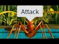The Roblox Ant Experience 2