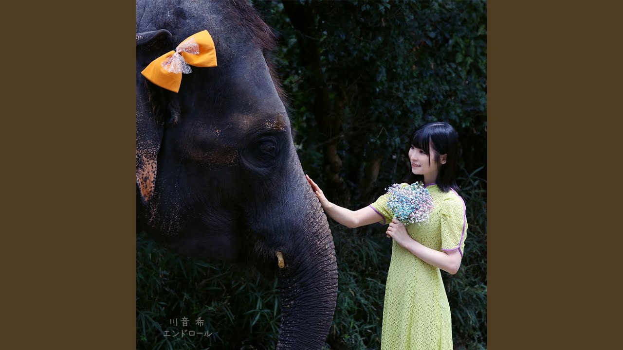 在 YouTube 上观看 That's Allright 在 YouTube 上观看 That's Allright