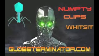 Numpty Clips - Whitsit