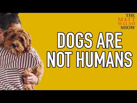 Dogs Are Fine But They're Not Humans