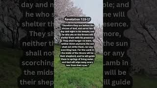 Jesus Saves | Revelation 7:15-17 Daily Bible Verse