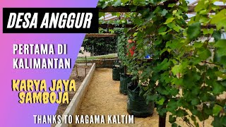 Cikal Bakal Desa Anggur Samboja Kaltim | Desa Inklusive bukti nyata peran serta KAGAMA KALTIM Part I