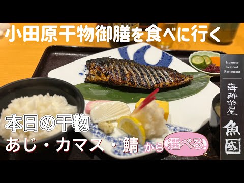 小田原干物御膳を食べに行く【ゆきぼうが食べまくる】本日の干物 あじ・カマス・鯖 から選べる in 海鮮茶屋 魚國