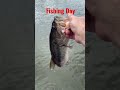 Fishing day