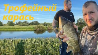 Ловим золотого карася.  Поплавочная ловля на озере
