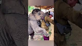 Baby Elephant Can’t Stop Hugging His Keeper 🥰❤️