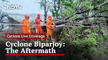 Video: Armed With Chainsaws, NDRF Teams Clear Trees Uprooted By Cyclone Biparjoy