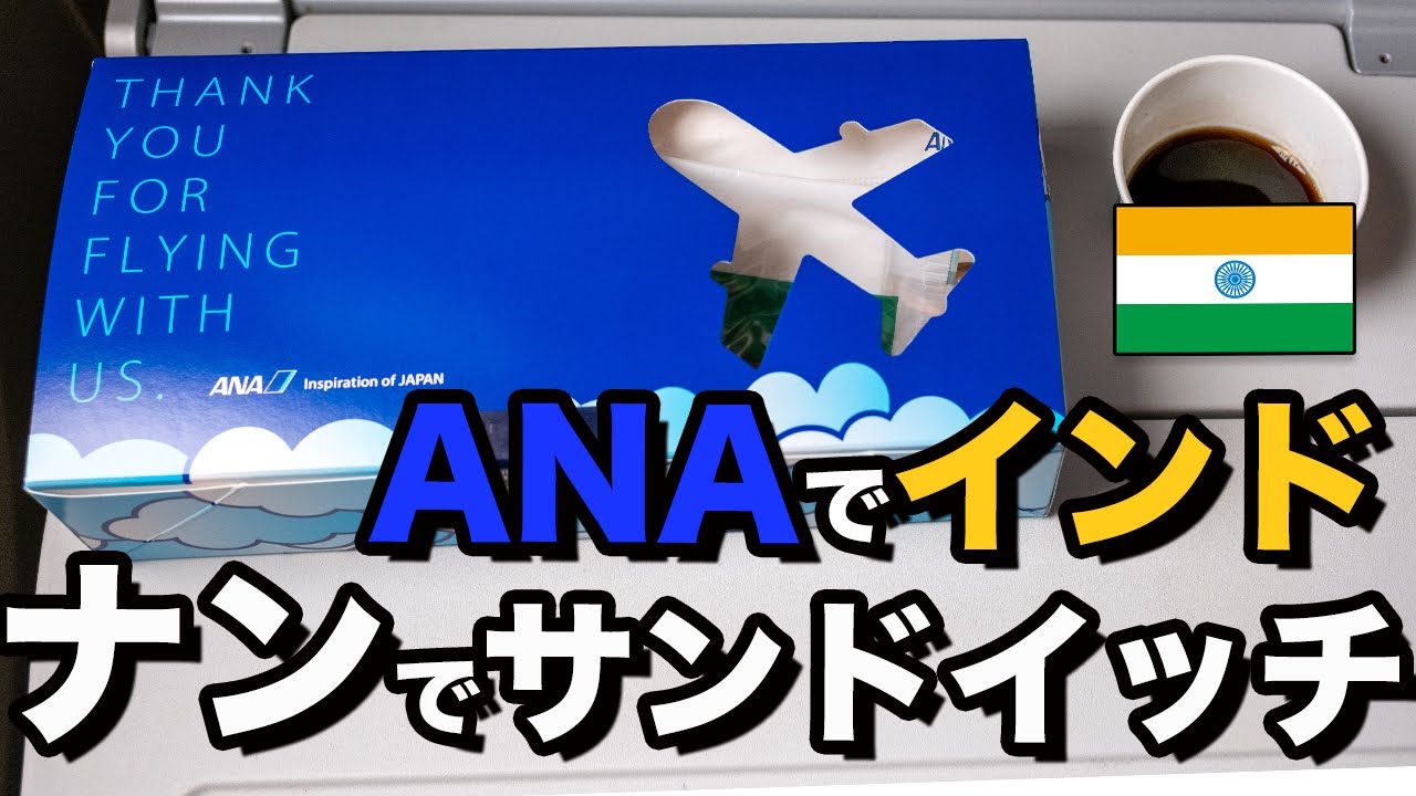 【インド旅行】ANAで神戸空港から羽田空港経由、首都デリーへ。