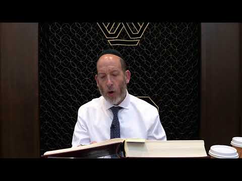 Daf Yomi: Chullin 81 | Rabbi Shmuel Silber
