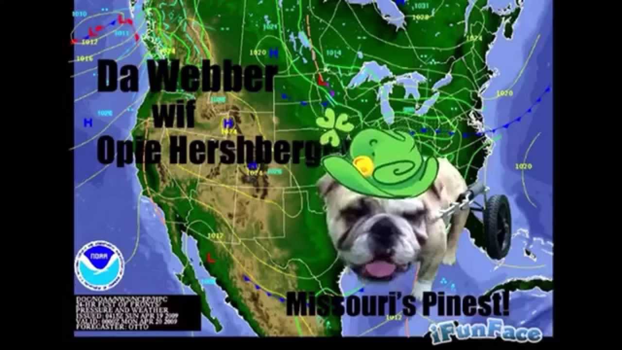 camera iphone 8 plus apk Opie Libe on St Patty's Day!