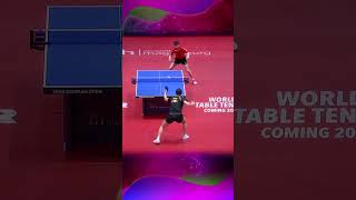 Long Distance Spider Topspin #卓球 #탁구 #乒乓球 #pingpong #sports #tabletennis #shorts