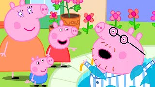 Peppa Pig Official Channel | Peppa Pig Goes on a Holiday